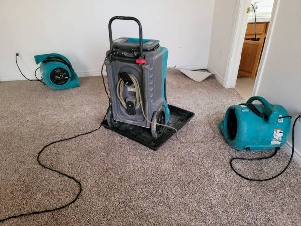 Best Water damage restoration company  in Fairfax, IA