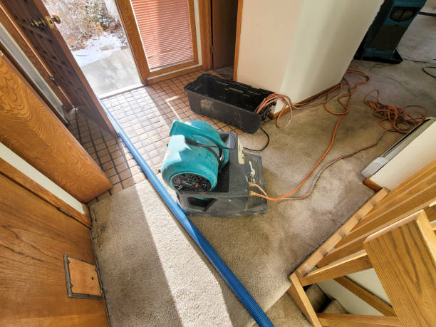 Best Water damage restoration cost  in Fairfax, IA