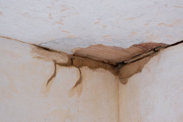 Best Fire Damage Restoration  in Fairfax, IA