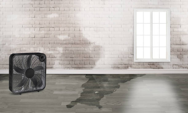 Best Water damage restoration near me  in Fairfax, IA