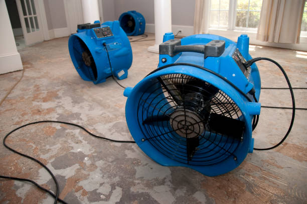 Best Ceiling water damage repair  in Fairfax, IA